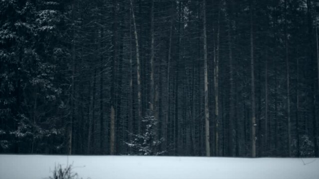 Russian winter, snow and cold