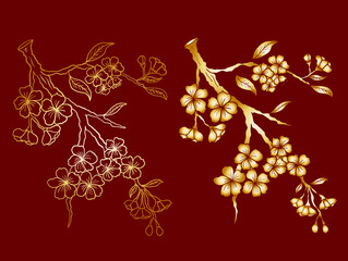 Branch of Cherry blossom on white.Vector illustration Sakura Flower,Nice Peach blossom isolated vector.Japanese floral.Nature background with blossom branch of sakura flower vector.Gold line apricot.