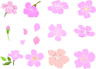 Branch of Cherry blossom on white.Vector illustration Sakura Flower,Nice Peach blossom isolated vector.Japanese floral.Nature background with blossom branch of sakura flower vector.Gold line apricot.