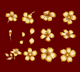 Branch of Cherry blossom on white.Vector illustration Sakura Flower,Nice Peach blossom isolated vector.Japanese floral.Nature background with blossom branch of sakura flower vector.Gold line apricot.