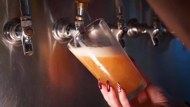 Female bartender fills pint glass with golden beer, womans hand pulls draft beer from tap, slow motion 4K