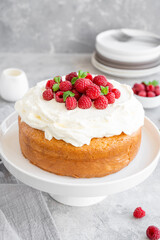 Tres leches cake with whipped cream and fresh raspberries on top of a gray concrete background. Traditional cake from Latin America. Copy space.
