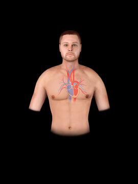illustration of Heart diseases: collection of heart Disorders, Heart attack, cardiac arrhythmia, valve disease, heart failur. 3d