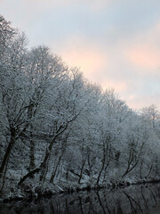 Fototapeta na wymiar winter scene with snow covered frozen trees reflected in still dark water