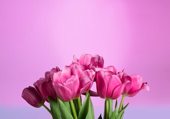 Purple fresh flower on bright background