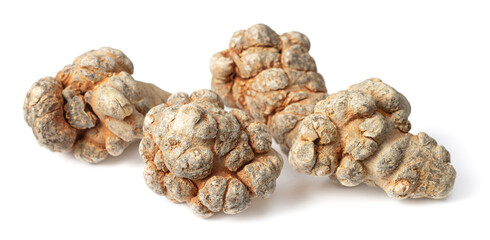 Dried herb, notoginseng roots isolated on white background