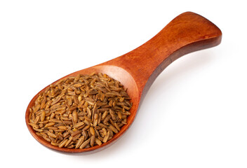 Roasted cumin seeds in the wooden spoon, isolated on the white background.
