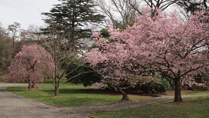 Spring park