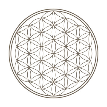 flower of life