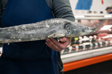 Male fishmonger or fish market worker holding large sturgeon fish