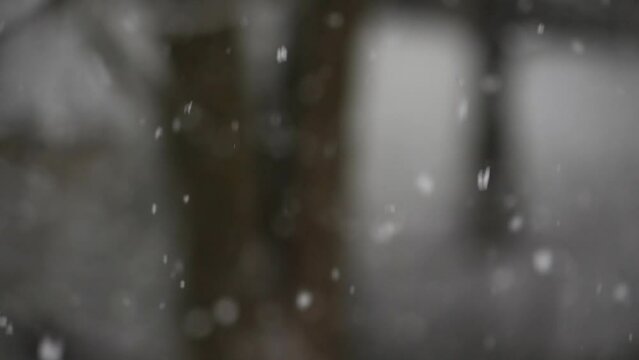 A rack-focus view of slow motion snowflakes in a forest. Shot at 120fps.	
