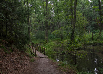 Part of the tourist path in Roztocze.