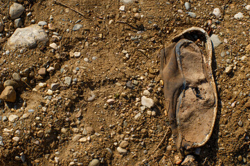 Zapatilla vieja sobre tierra, abandono, refugiado, huida