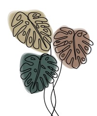 monstera leaf art on a white background and elegant colors is good for decoration and posters