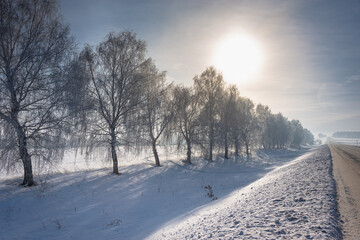 Tree branches in white snow, road and sun at dawn.