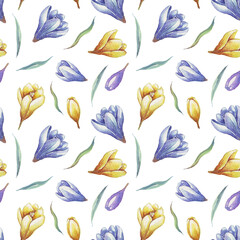 Spring flowers seamless pattern. Watercolor crocuses. Hand-painted