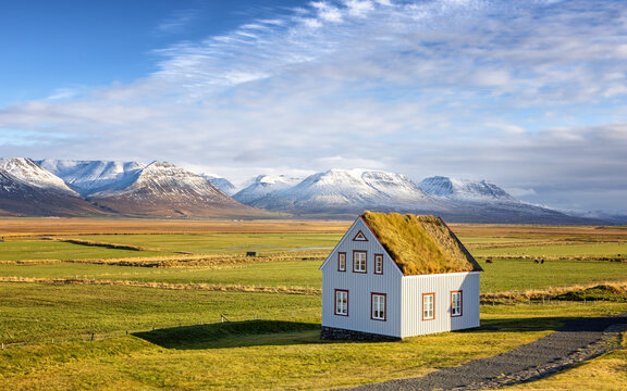 Traditional turf covered house in Glaumbaer, northwestern Iceland. Agricultural fields with horses, and snow-covered mountains in the background