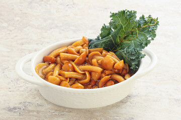 Wild pickled honey mushroom in the bowl