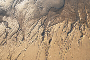 Patterns on sandy beach after low tide on the ocean.abstract sand nature background. Close up of...