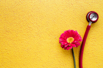 Pink flower and stethoscope as women health background