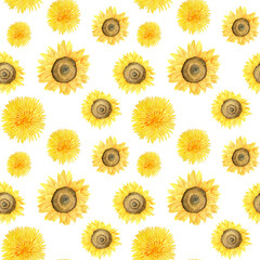 Watercolor seamless pattern with yellow flowers on white background. Sunflowers and dandelion floral ornament.