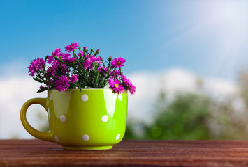 Spring time - Pink Flowers in Green Cup on Wooden Table in Garden