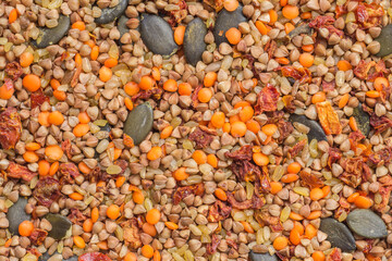 Assortment of roasted vegetable seeds and grains. Food background