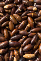 Raw Brown Organic Brazilian Baru Nuts