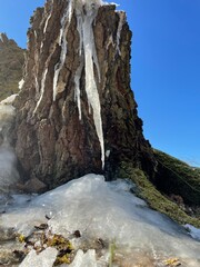 Eiszapfen am Baum