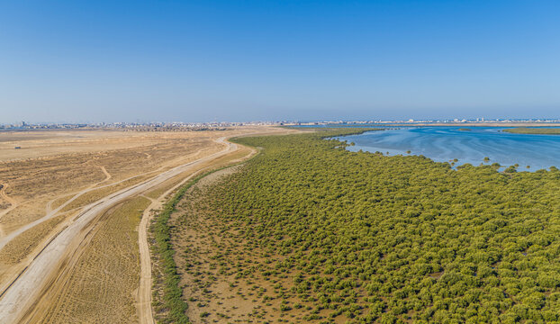 Aerial view of a marshland with sand dunes and mangroves field, Dubai, United Arab Emirates.