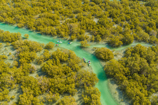 Aerial view of people doing kayak in a small river off Abu Dhabi, United Arab Emirates.