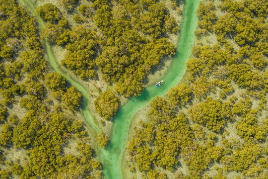 Aerial view of a person doing kayak in a small river near Abu Dhabi, United Arab Emirates.