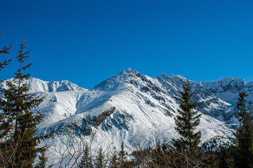 Piękny i zimowy krajobraz górski