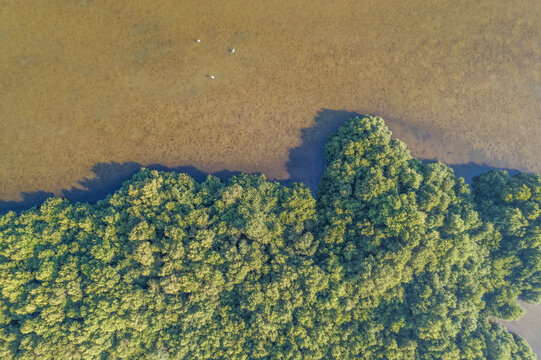 Aerial view of harbour creek in marshland in Ajman state, United Arab Emirates.
