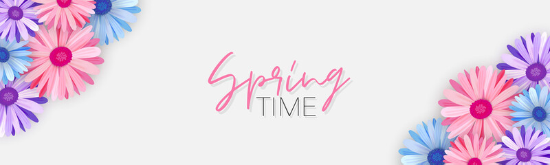 Obraz premium Spring time banner or newsletter header. Blue, purple and pink realistic daisies or gerbera flowers. Floral promo design. Vector illustration.