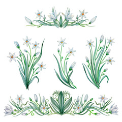 Collection of floral illustrations with bouquets of white flowers, borders, branches and leaves. Set of hand painted watercolor images. Isolated on white background.
