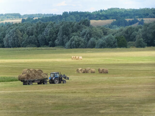 Agricultural landscape. The tractor collects and transports hay. Ryazan Region; Russia - July 2021