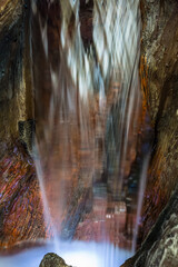 Cascade de jardin dans un vieux tronc 