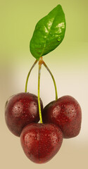 cerises