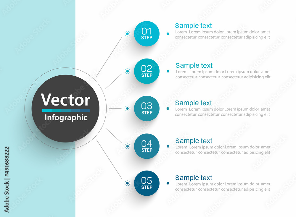 Wall mural business vector infographic template with 5 options or steps. can be used for workflow layout, diagr