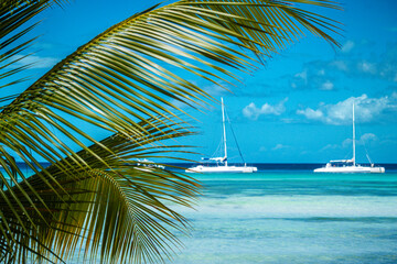 Fototapeta na wymiar Travel Photography in Punta Cana, Dominican Republic, Saona Island