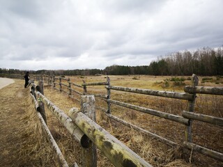 wooden fence in a meadow and landscape with trees