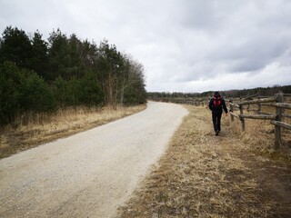 road in the countryside