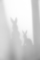 Fototapeta premium silhouette of a rabbits
