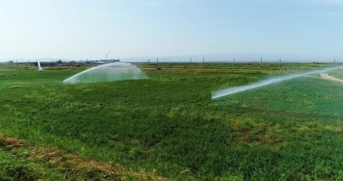 Automatic Irrigation and Fertigation System, Automated Watering. Agriculture. Sowing fields. Planting. Wheat seeding