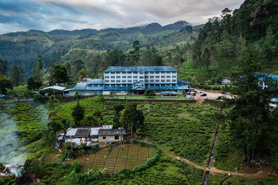 Aerial view of Blue Field tea factory in the mountains surrounded by green fields of tea plants, Ramboda, Sri Lanka.