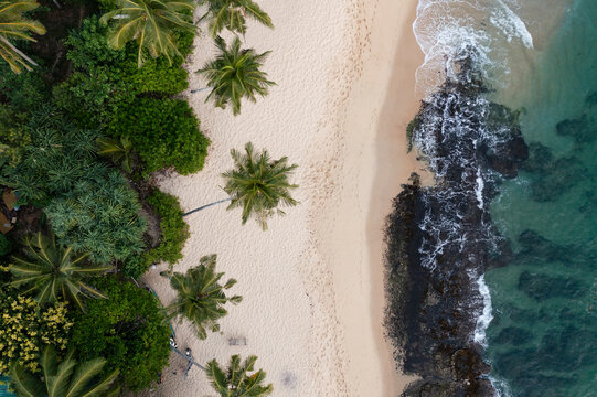 Aerial top down view of sandy beach with palm trees next to the Indian ocean, Unakuruwa, Sri Lanka.