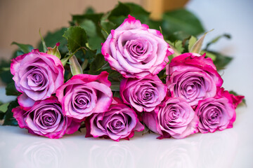 Bouquet of purple roses on white background. Flower background. Mothers Day, Wedding and Birthday concept.