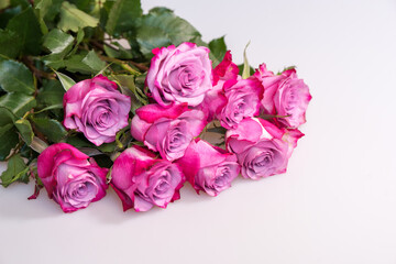 Bouquet of purple roses on white background. Flower background. Mothers Day, Wedding and Birthday concept.