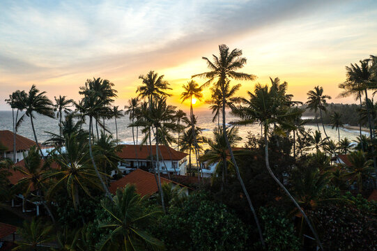 Aerial view of sunset view with palm trees and sun over Indian ocean, Matara, Sri Lanka.